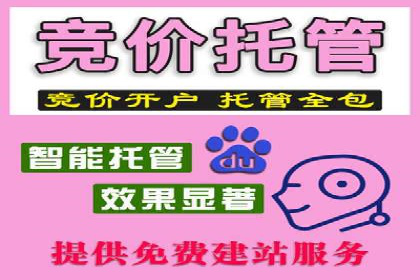 SEM推广代运营公司案例：助力企业实现品牌影响力提升